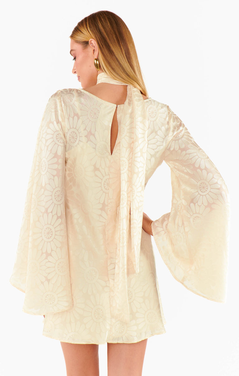 cream dress near me Sarah Mini Dress, in Cream Daisy Burnout, Size: XL