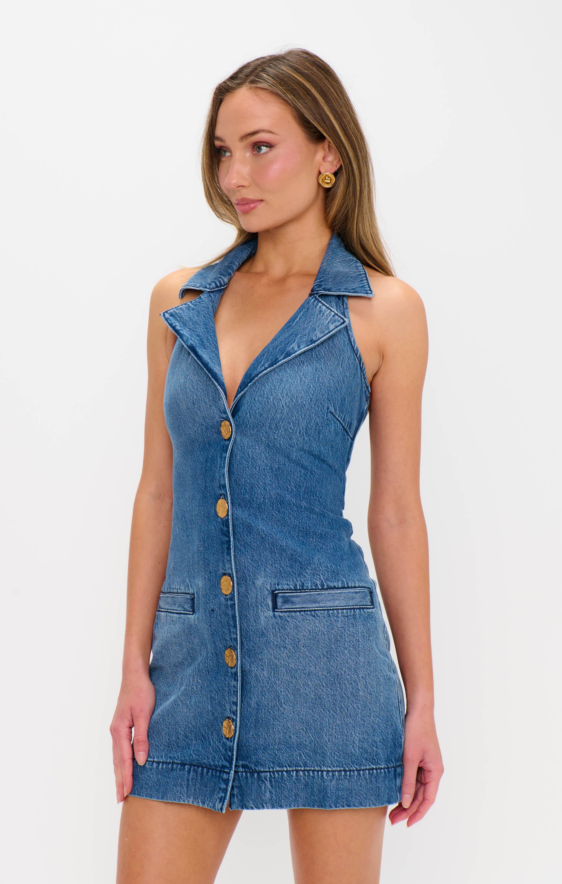 Darien Dress ~ Bluebird – Show Me Your Mumu