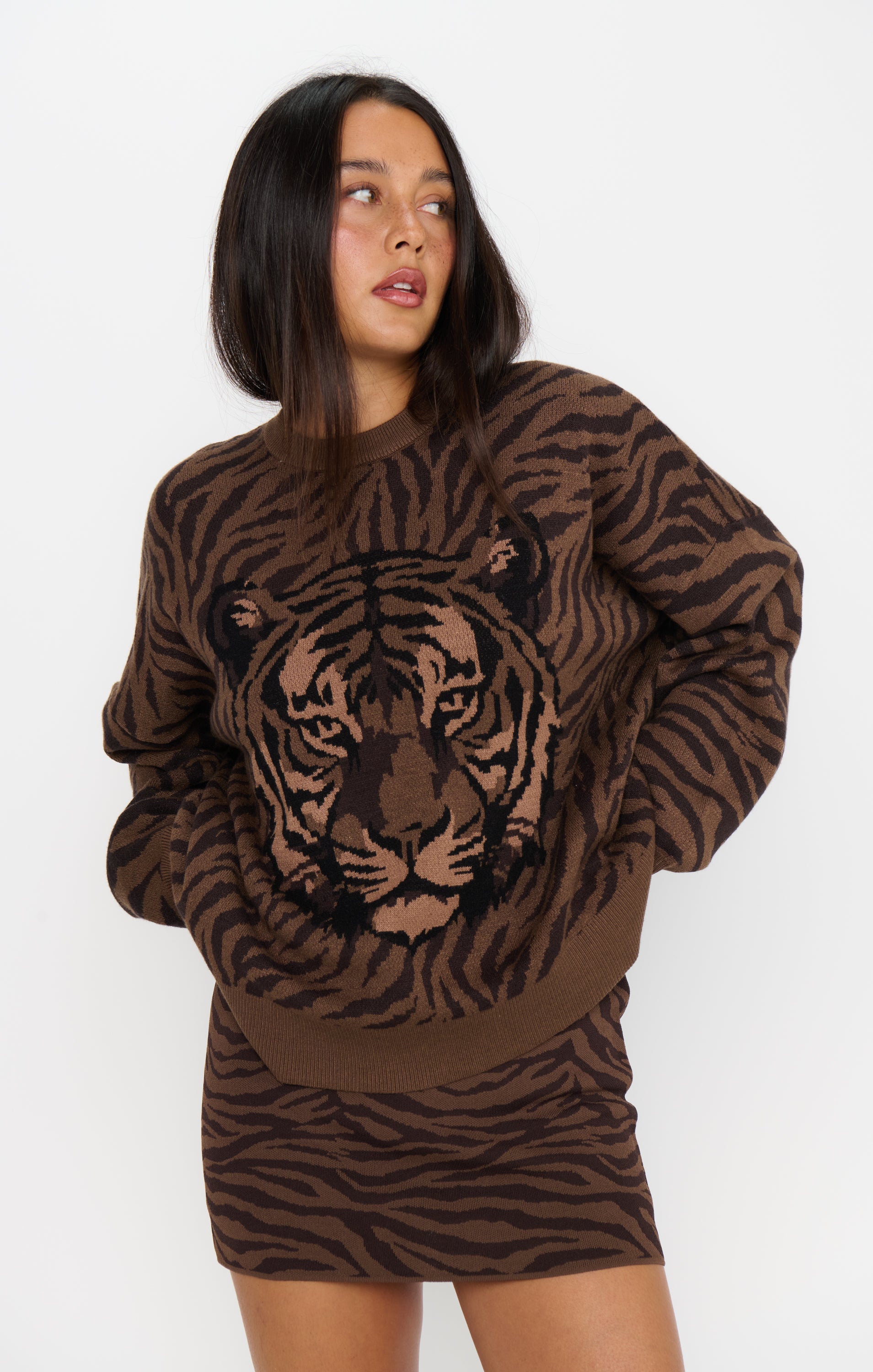 Seasons Sweater ~ Wild Tiger Graphic Knit – Show Me Your Mumu