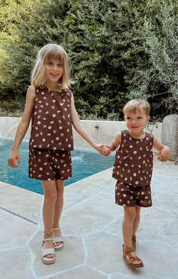 Little Shells Set ~ Cocoa Coast