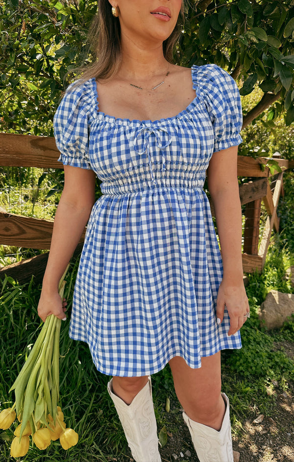 Esme Mini Dress ~ Blue Bounty Gingham – Show Me Your Mumu