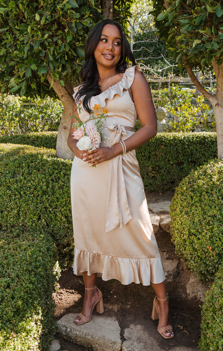 alexis beige dress Dune Suede Kendra Maxi Dress